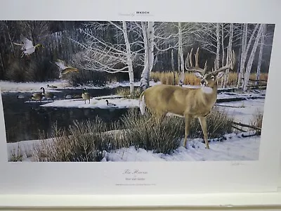 Ron Van Gilder The Haven. Duck Unlimited Unframed Whitetail Deer Print S/N • $75