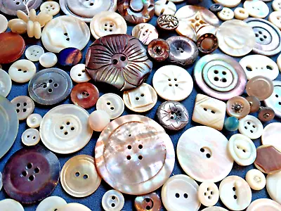 Antique Victorian MOP Shell  Abalone Carved Button Lot • $14.99