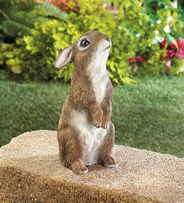 Standing Bunny Rabbit Statue Figurine Tabletop Lawn Outdoor Garden Decor Gift • $28.30