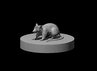 Cranium Rat Miniature • £3