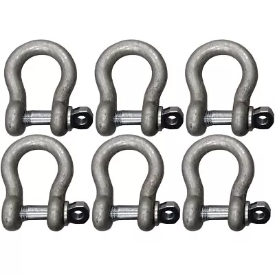 6x 3/4  Shackle Screw Pin Clevis Anchor Bow Shackles Sling Cable Chain Rigging • $34.89