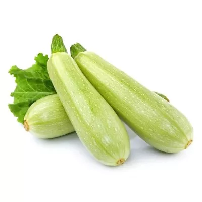 Lebanese Zucchini Easy Grow 5 Seeds Grow In Pot • $1.50