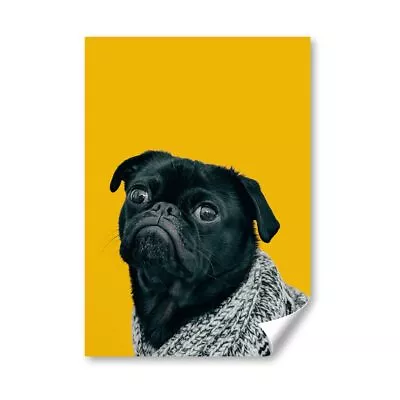 £4.99 • Buy A4 - Black Pug Dog With Grey Scarf Poster 21X29.7cm280gsm #44326
