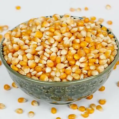 £125 • Buy Popcorn Kernels Seeds Popping Corn Raw Kernals 500g 1kg 2kg 5kg 10kg 20kg BULK
