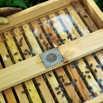 1 National Bee Hive See Through Crown Board. • £34.99