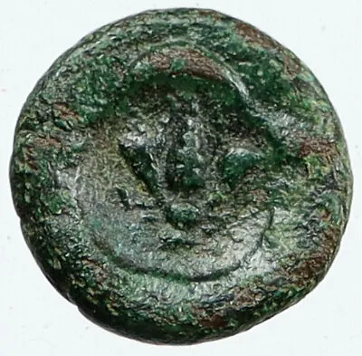 EPESUS Ephesos IONIA 50BC-100AD Ancient Antique Greek Coin APOLLO & BEE I116100 • $398.80