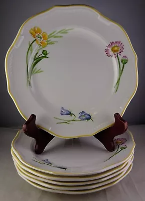 Six Villeroy & Boch My Garden Salad Plates - Floral Country Collection - Mint • $179