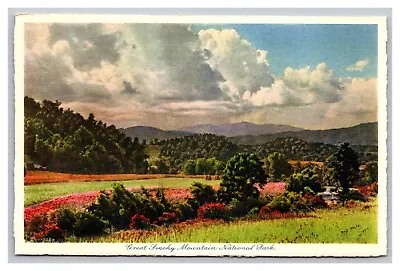 $5.94 • Buy Great Smoky Mountains National Park Distant View Clingman's Dome Linen Postcard