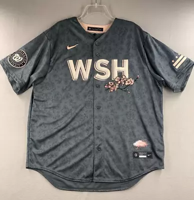 Washington Nationals Nike City Connect Official Team Jersey Men's Large 2024 MLB • $188.98