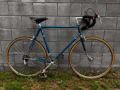 1976 Schwinn Paramount - Campagnolo - 60cm Vintage Bicycle Great Condition • $875