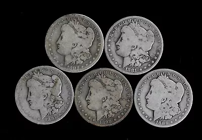 Five (5) Morgan Dollars 90% Silver (1881-1898)  Lower Grade/cull  Lot H85 • $150