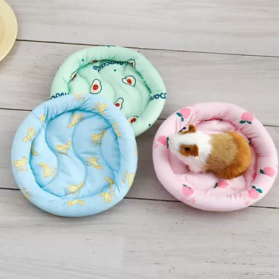 Small Animal Sleeping Bed Hamster House Guinea Pig Mat Rabbit Winter Warm Mat • £4.19