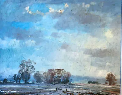 Original Norfolk Winter Landscape Oil Painting - Follower Of Edward Seago C1950 • £299.99