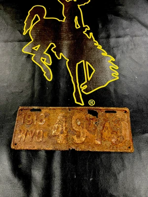 $50 • Buy Wyoming License Plate 1918 4978 4 Digit