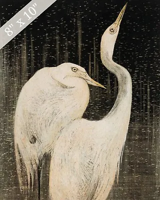 Two Egrets Vintage Illustration Reproduction Giclee Print 8x10 On Fine Art Paper • $14.99