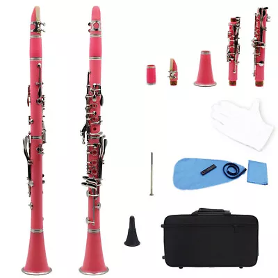Multicolor 17-Key Clarinet Bb B Flat Woodwind ABS Resin Pipe Clarinet • $214.36