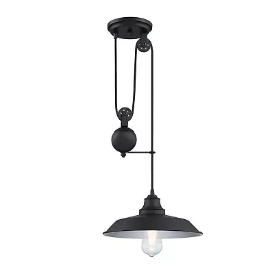 Westinghouse Lighting 6129300 Iron Hill Vintage-Style One Light Indoor Pulley Pe • $68.40