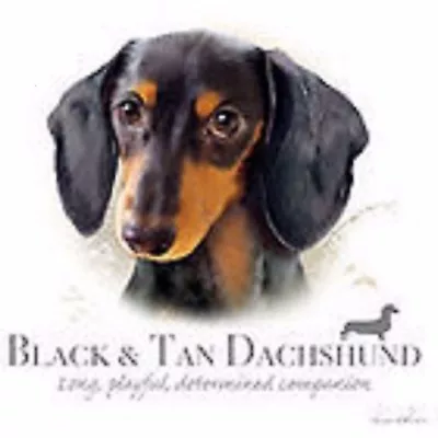 Black Dachshund Robinson Hood Sweatshirt Pick Your Size Medium- 5 X Large  • $19.99