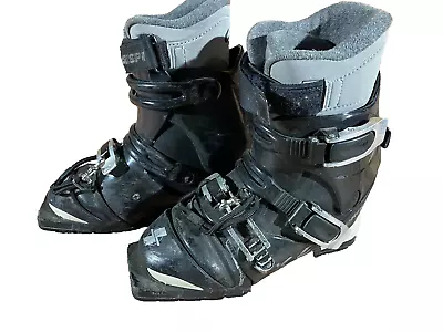 Crispi CX4 Telemark Nordic Norm Cross Ski Boots Size MONDO 245 For NN 75mm 3pin • $157.04