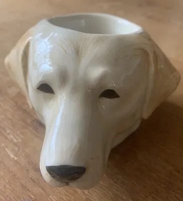 Quail Ceramics Golden Retriever/Labrador Egg Cup • £9.50