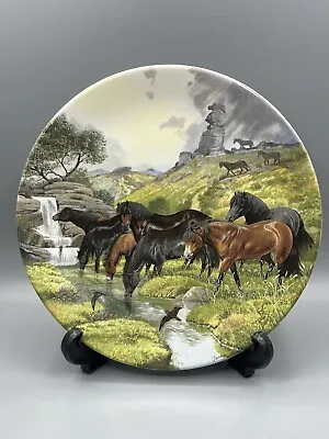 Davenport Pottery Collectors Plate 1990 Dartmoor  Ponies. Limited Edition Boxed • £8
