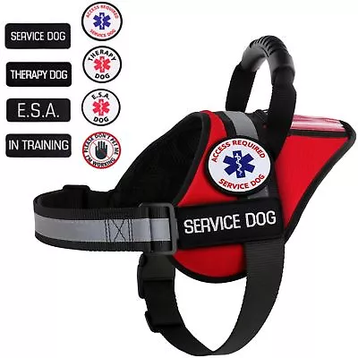 Service Dog - Support Dog - Therapy Dog Harness Vest Patches ALL ACCESS CANINE™  • $45.95