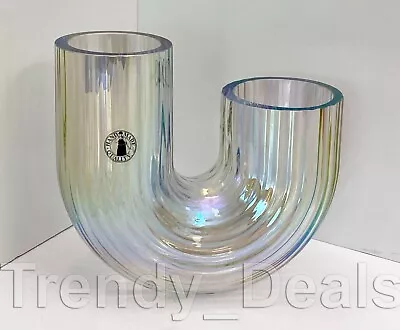 Ikea RÄFFELBJÖRK RAFFELBJORK Dual Vase Mother-of-Pearl Rainbow Color 4 ¾  - NEW • $39.95