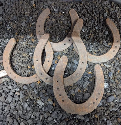 £20 • Buy 5 Shire Horse Shoes
