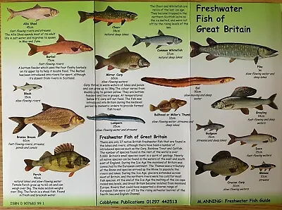 £1.99 • Buy Guide To Freshwater Fish Of Great Britain Laminated Identification Kids Chart 