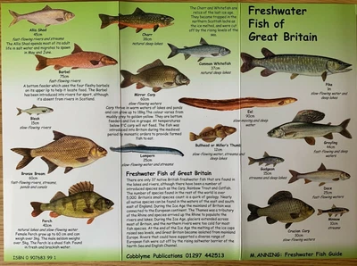 £1.99 • Buy Guide To Freshwater Fish Of Great Britain Laminated Identification Kids Chart 