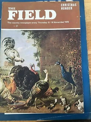 THE FIELD CHRISTMAS NUMBER NOVEMBER 1970 -Tunnicliffe Fancy Modena Pigeons • £12.99