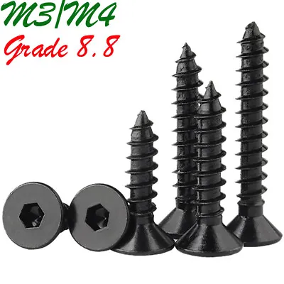 M3 M4 Grade 8.8 Alloy Steel Countersunk Flat Head Hex Socket Tapping Wood Screws • $7.14