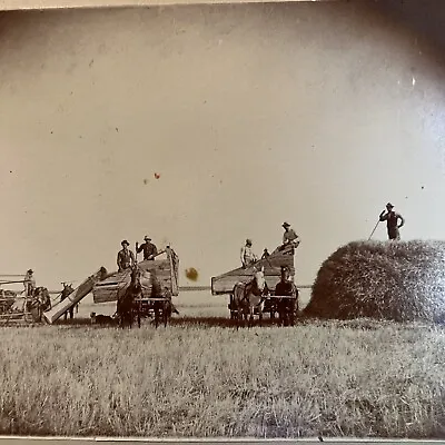 Large Vintage Photo Horse Drawn Hay Baler Equipment Oklahoma Harvest Farm Hands • $16