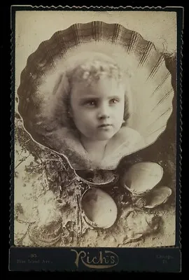 Cabinet Card Photo Little Girl In Seashell - Composite - Possible Memorial • $176.99