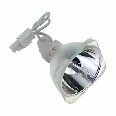 Projector Lamp Bulb For BenQ MP526 MP576 FX810A IN102 MW814ST  • $62.37