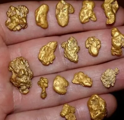 Rich Gold Nugget Pay Dirt Approximately 1 Lbs OF UNSEARCHED PAYDIRT BUY 2/1 FREE • $55.69