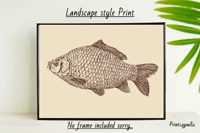 Vintage Fish Fun A4 Picture Print Poster Wall Art Home Decor Unframed Gift New • $4.96