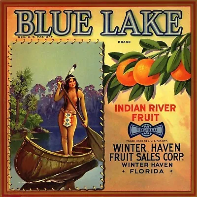 Winter Haven Florida Blue Lake Orange Fruit Crate Vintage Label Art Print 8x8 • $13