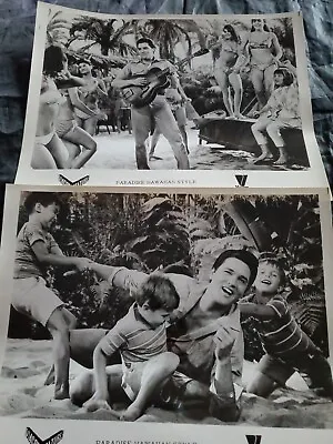 LOT OF 2 Elvis Presley Original Press Photo  Paradise Hawaiian Style  1965 • $39.90