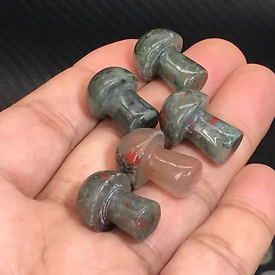 10pc Natural African Blood Stone Mushroom Quartz Crystal Reiki Healing Random • $5