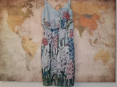 Oasis Natural History Museum Blue Pastel Floral Midi Dress 10 Butterfly VGC • £3.99