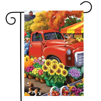 Fall Scarecrow Sunflower Cat Dog Pumpkin Truck Mini Window Garden Yard Flag New • $8.97