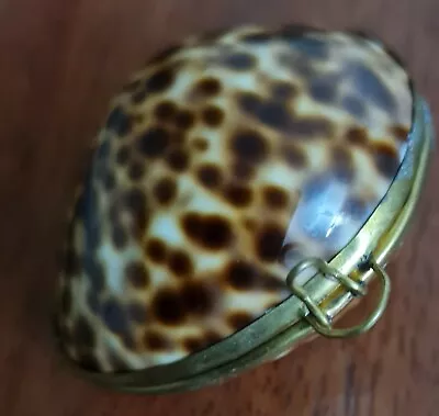 Vintage Hinged Tiger Cowrie Shell Trinket Pill Change Box Purse. • $28.50