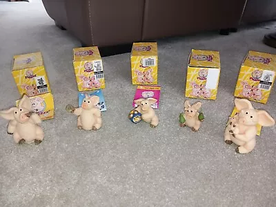 £6 • Buy Piggin Pigs Collection - 5 Piggin Pig Figurines.