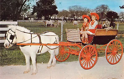 1958 Texas McAllen Shetland Pony Farm Wagon 2 Girls Cowboy Hat Postcard A07 • $8.99