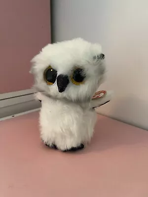 TY Beanie Boo Regular 6” Owl Austin • $4.99