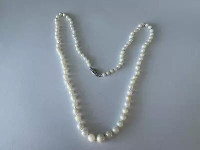 10K White Gold Graduated Pearl Necklace • $45