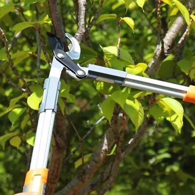 Pruning Shears Garden Branch Sharp Pruner Scissors Large Opening Cutter Snips Us • £34.74