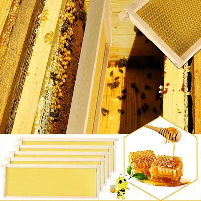 10 PACK National Beehive Box Super & Brood Bee Hive Frames Bees House Self Place • £35.95