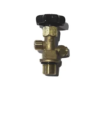 BEYIWOD Valve Fits 5/10LB CO2 Cylinder 1.125” - 12 UNF Inlet Brass Body - CGA320 • $19.99